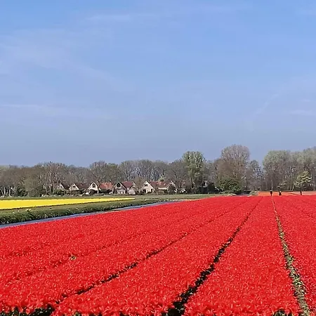 Stern Comfort-2 By Interhome 3* Noordwijk