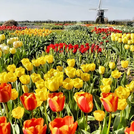 Stern Comfort-2 By Interhome 3*