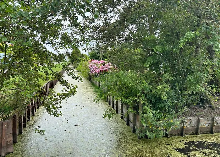 Aldeamento Turístico Stern Comfort-2 By Interhome Noordwijk