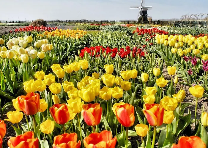 Stern Comfort-2 By Interhome 3*