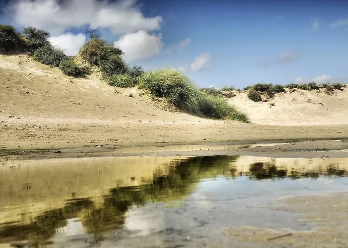 Stern Comfort-2 By Interhome Noordwijk