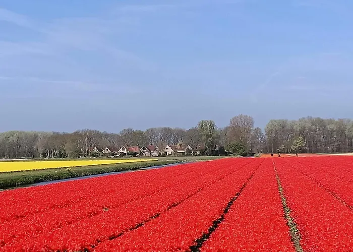 Stern Comfort-2 By Interhome 3* Noordwijk